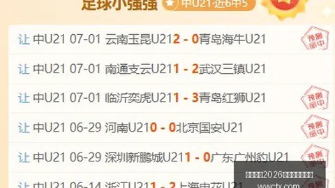 欧协联2026盘点：13队闪耀，谁是五星王者