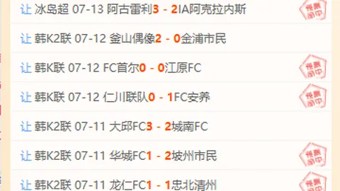 南美杯独家解析热门赛事深度分析：比分赛果详解
